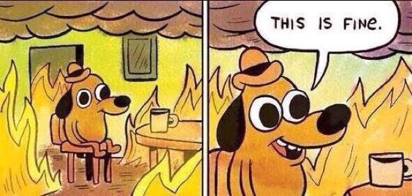 This Is Fine — dog sitting calmly in a room on fire